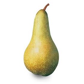 PERE COSCIA CILE
