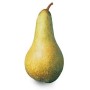 PERE COSCIA CILE