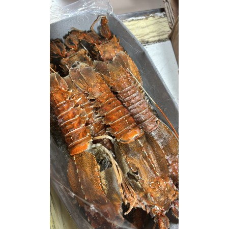 ARAGOSTELLA INDOP. 21/30 GR. 800 GELO