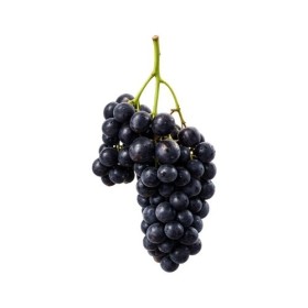 UVA NERA FRESCA