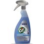 CIF VETRI & MULTIUSO PROFESSIONAL ML.750