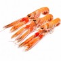 SCAMPI INT. 21/30 OLANDA 750GR
