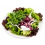 INSALATA MISTA IN BUSTA GR. 100