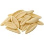 CORTECCE PASTA FRESCA GR.500