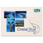 MAZZ.BLU NEW CALEDONIA 31/40 KG.1