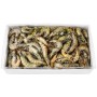 MAZZ.INTERA EC 51/60 KG.2 PP GELO
