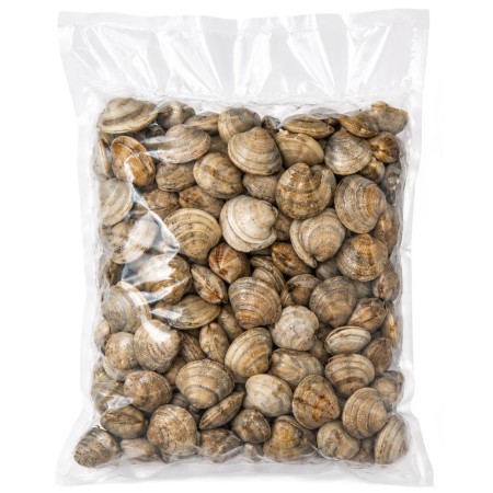 VONGOLE ITALIANE (LUPINI) KG.1 GELO