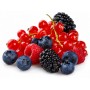 FRUTTI DI BOSCO KG.1 GELO