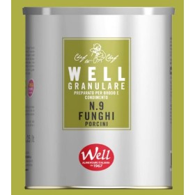 BRODO FUNGHI PORCINI WELL N9 GRAN.GR.500