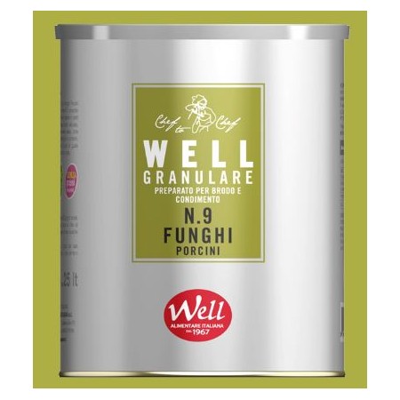BRODO FUNGHI PORCINI WELL N9 GRAN.GR.500