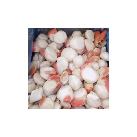 CAPPESANTE SG. 8/12 IQF SCOZIA 800GR GEL