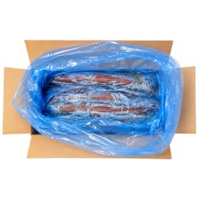 FIL. DI SPINAROLO 300/500 10 KG