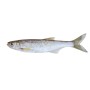 ALBORELLE EVISC PUL 1 KG GELO