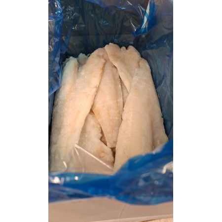 FIL.MERL.NORDICO  5/1000 SCUDO