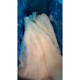 FIL.MERL.NORDICO 1000UP SCUDO