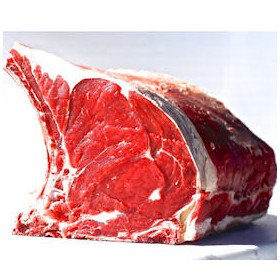 BA COSTATA C/O SCOTT.GR350/500 SV UE