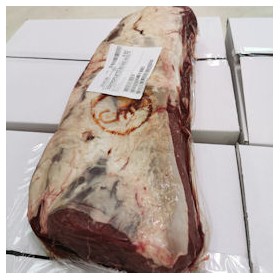 BA CODONE FEMMINA (PICANHAS) SV UE