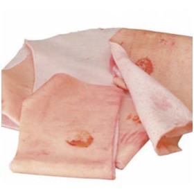 COTENNE DI SUINO SV IT