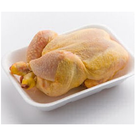 GALLETTI AMBURGHESI FILM IT